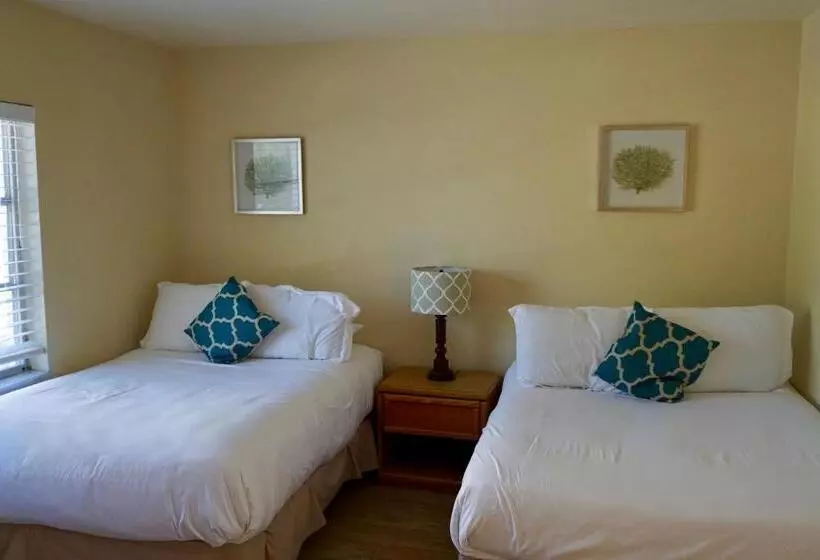 スイート, The Molloy   Treasure Island Suites & Cottages