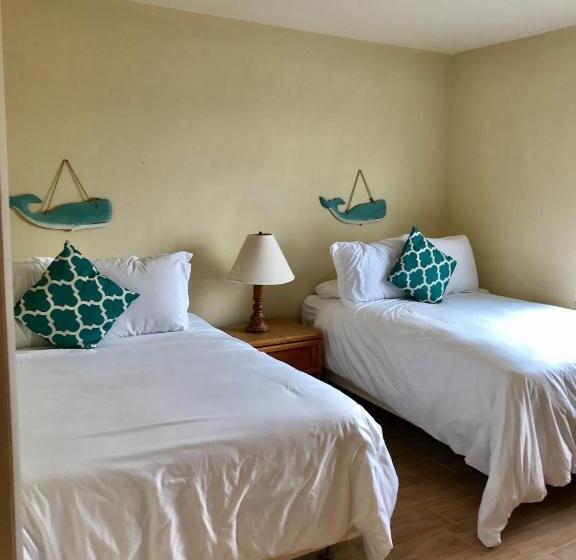 스위트, The Molloy   Treasure Island Suites & Cottages