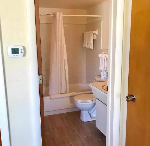 スイート, The Molloy   Treasure Island Suites & Cottages
