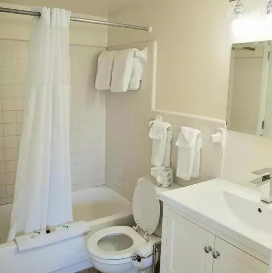 景色の見えるスイートルーム, The Molloy   Treasure Island Suites & Cottages