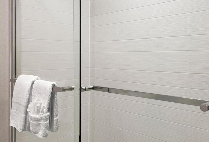 身障者適用キングサイズベッドルーム, Ann Arbor Marriott Ypsilanti At Eagle Crest