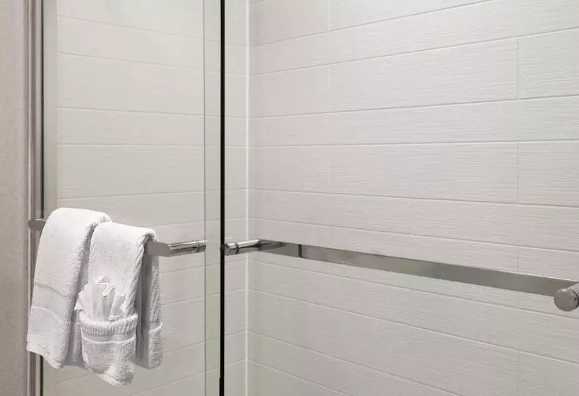 身障者適用キングサイズベッドルーム, Ann Arbor Marriott Ypsilanti At Eagle Crest