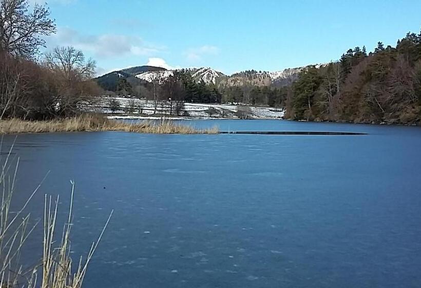 レイクビュースタンダードルーム, Entre Lacs Et Volcans