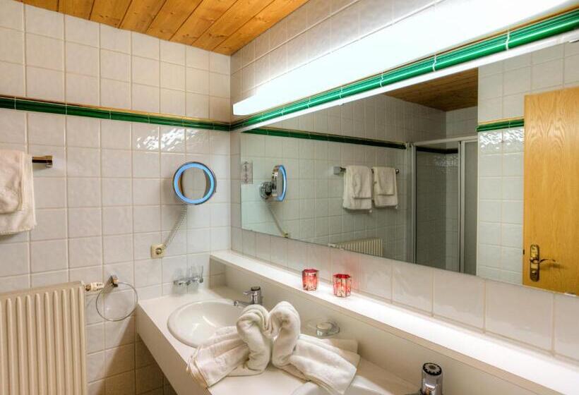 غرفة قياسية, Pension Grissemann