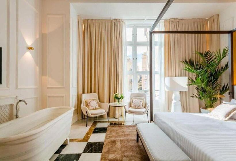 סוויטה נשיאותית, Myr Palacio Vallier