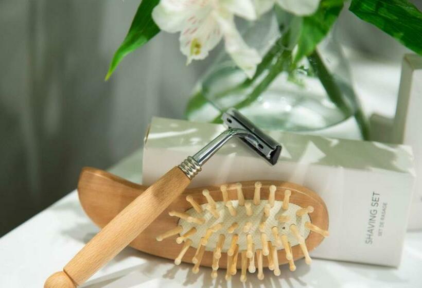 חדר סטנדרט, Myr Palacio Vallier