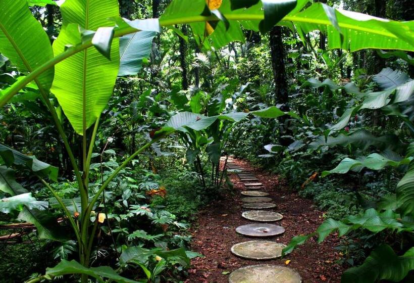 Вилла 1 Спальня, Casa Cerise Beachfront