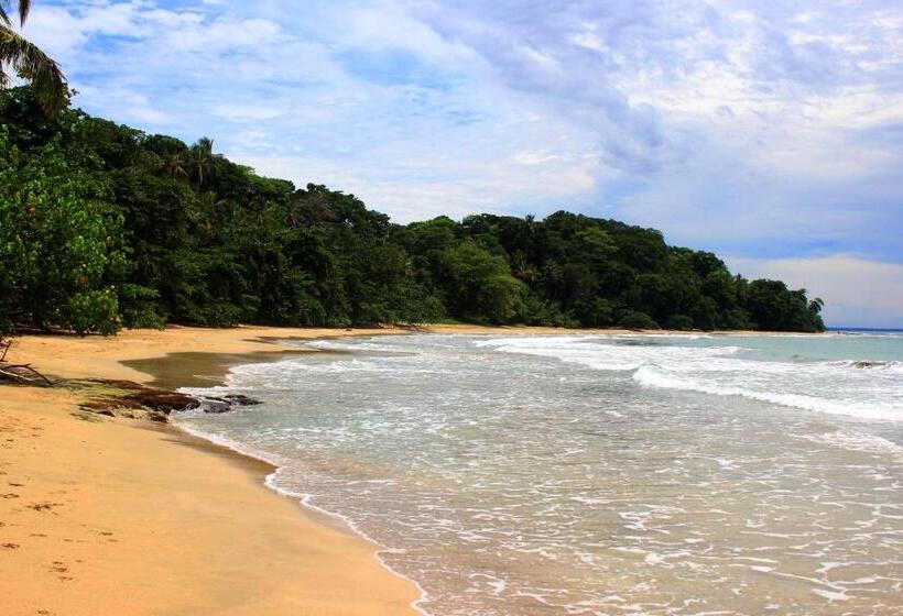 Вилла 1 Спальня, Casa Cerise Beachfront