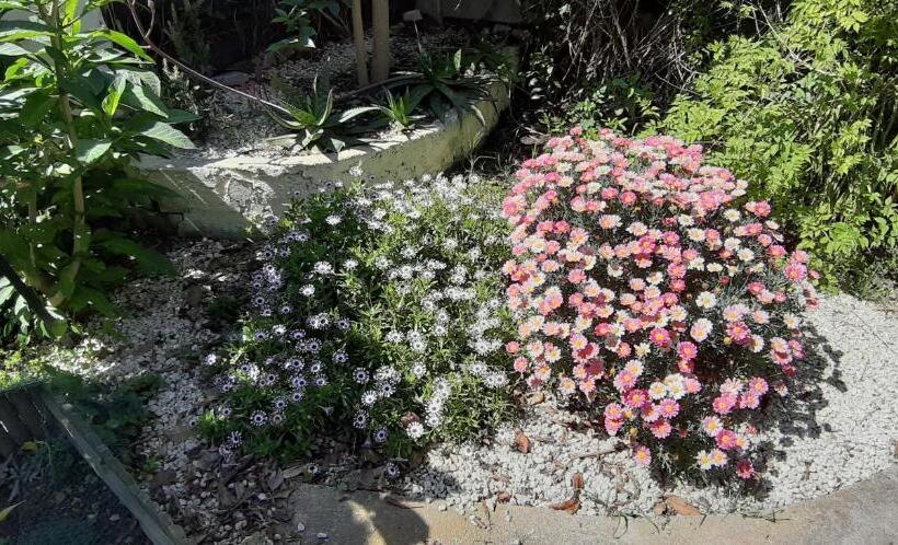 标准房带园景, Chambre D'hôtes Du Mas Julianas