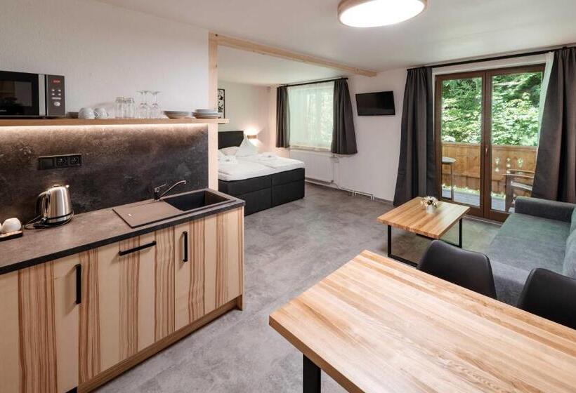 דירת חדר, Wellness Aparthotel Martiňák