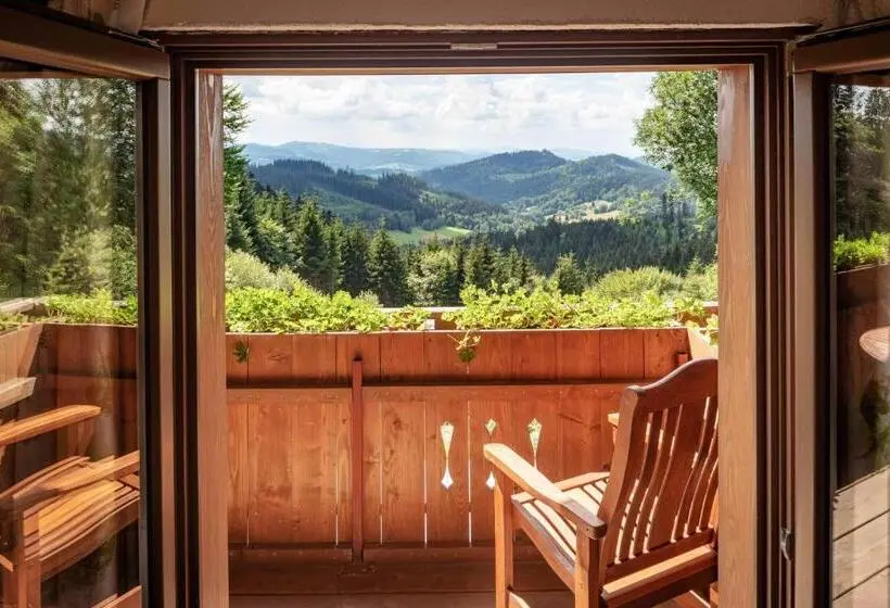 １ベッドルームのスーペリアアパートメント, Wellness Aparthotel Martiňák