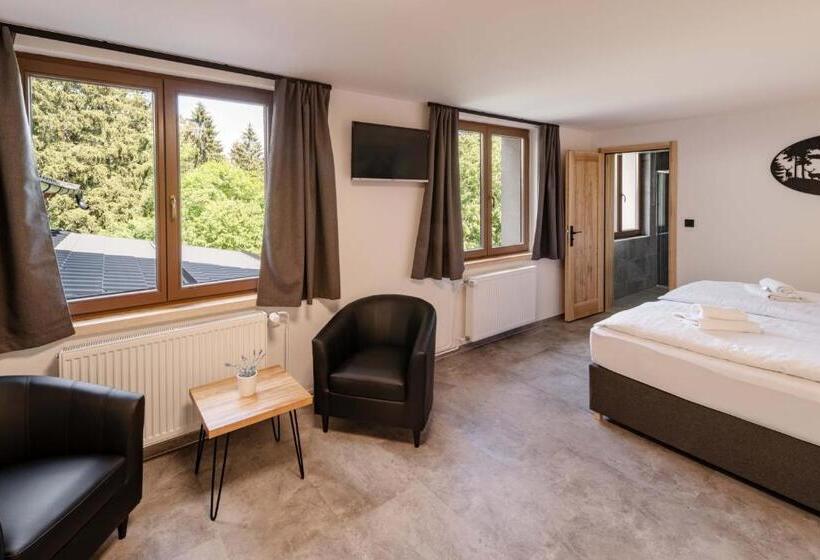 Апартаменты Deluxe 1 Спальня, Wellness Aparthotel Martiňák