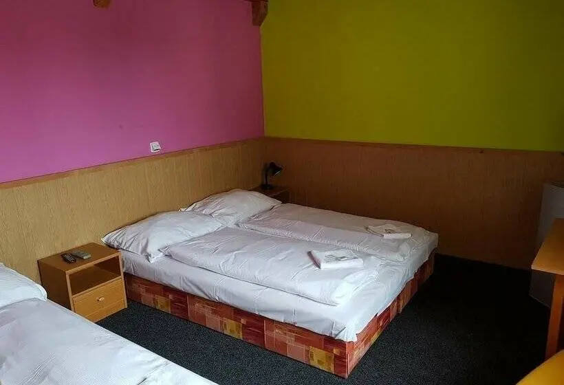 スタンダードルーム, Penzion šatovské Lípy