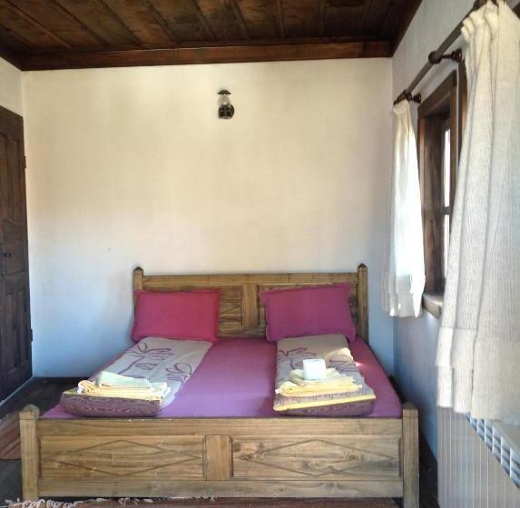 Номер Стандарт, Bazoteva House