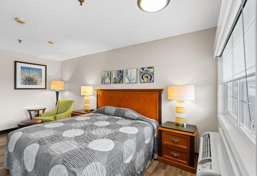 غرفة قياسية سرير كينج, Basecamp Puyallup A Travelodge By Wyndham