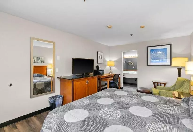 Standard-huone King-vuode, Basecamp Puyallup A Travelodge By Wyndham