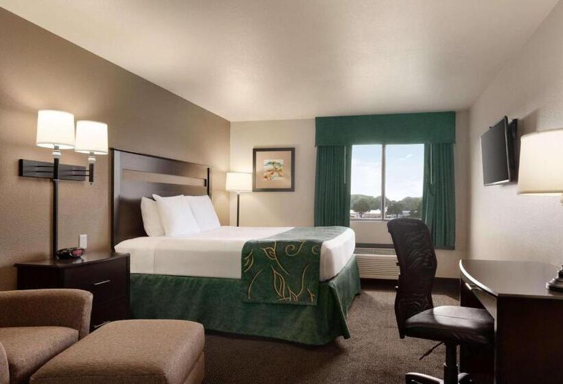 חדר סטנדרט, Baymont By Wyndham Wellington