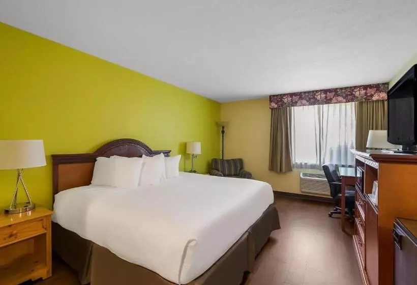 キングサイズベッドのスタンダードルーム, Americas Best Value Sandman Inn