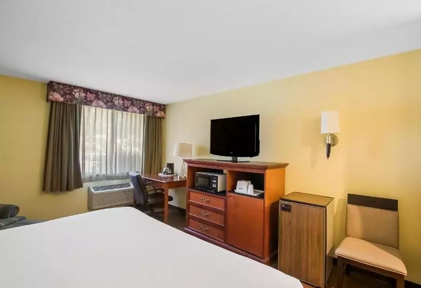 キングサイズベッドのスタンダードルーム, Americas Best Value Sandman Inn