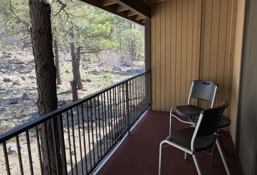 디럭스 룸, Motel In The Pines