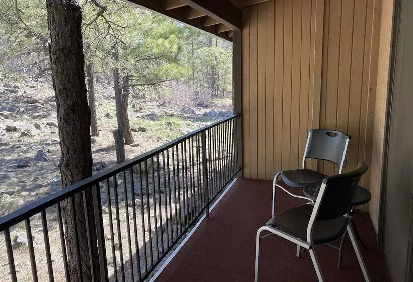 デラックスルーム, Motel In The Pines