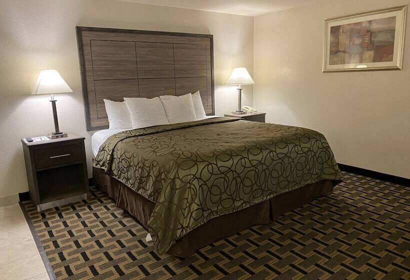 디럭스 룸, Motel In The Pines