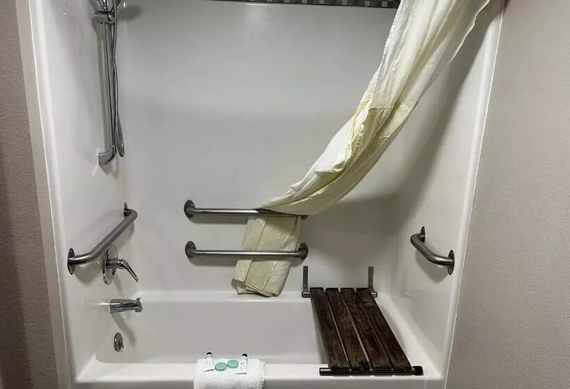 身障者適用キングサイズベッドルーム, Westbridge Inn And Suites