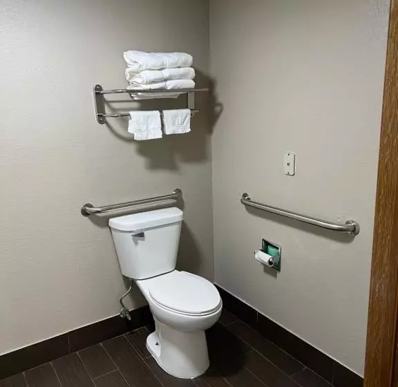 身障者適用キングサイズベッドルーム, Westbridge Inn And Suites