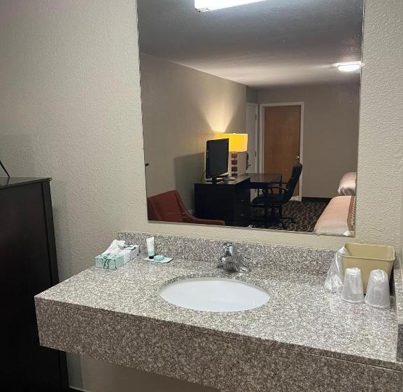 스탠다드 룸 킹사이즈 침대, Westbridge Inn And Suites