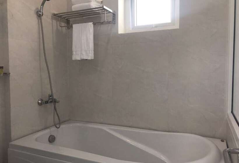 اتاق لوکس, Vy Anh