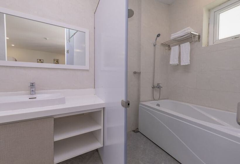 اتاق لوکس, Vy Anh