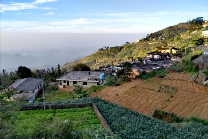 家庭工作室, Il Villino Haputale