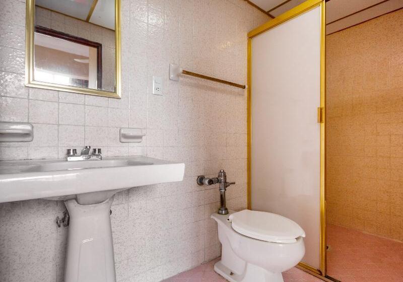 Номер Стандарт, OYO Hotel Totonacapan, Papantla