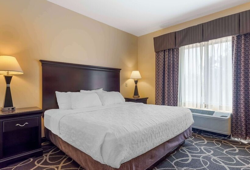 Люкс, Best Western Plus Eau Claire Conference Center
