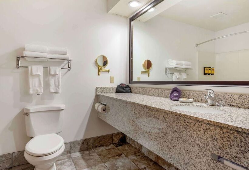스위트, Best Western Plus Eau Claire Conference Center