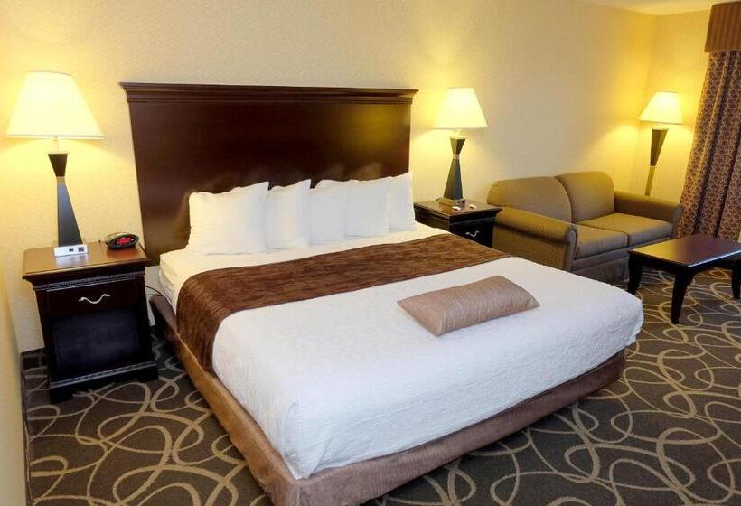 스탠다드 룸 킹사이즈 침대, Best Western Plus Eau Claire Conference Center