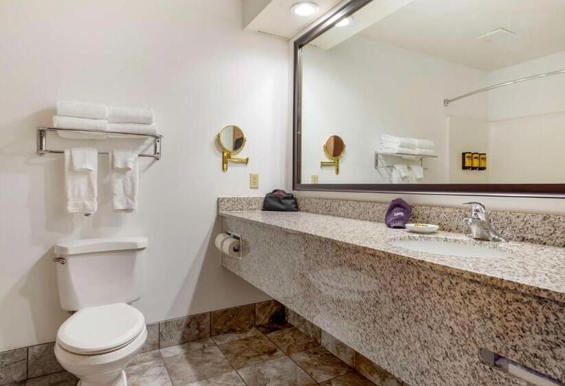 스탠다드 룸 킹사이즈 침대, Best Western Plus Eau Claire Conference Center