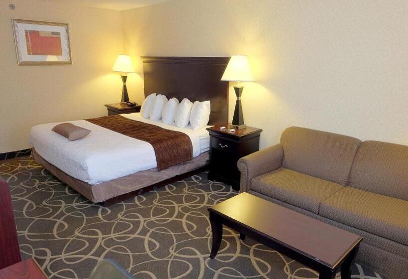 장애인을 위한 킹사이즈 침대 스탠다드 룸, Best Western Plus Eau Claire Conference Center