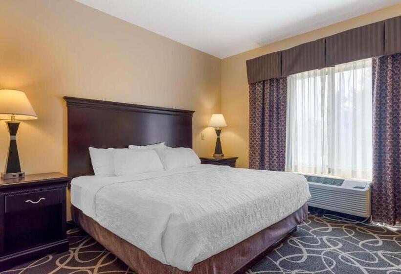 Номер Стандарт Кровать Кинг Адаптированный для Инвалидов, Best Western Plus Eau Claire Conference Center