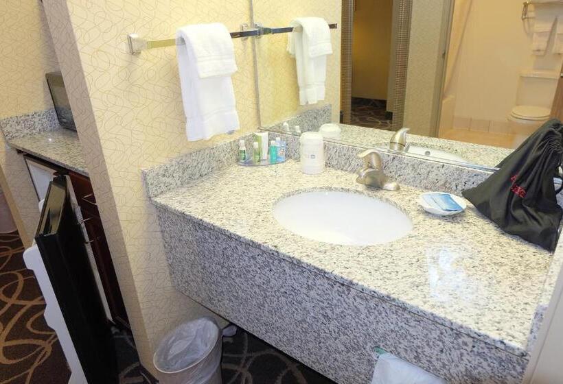 스위트, Best Western Plus Eau Claire Conference Center