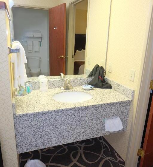 Люкс, Best Western Plus Eau Claire Conference Center
