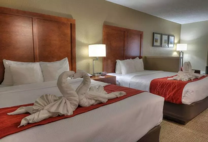 ２ダブルベッドのスタンダードルーム, Comfort Inn & Suites At Dollywood Lane