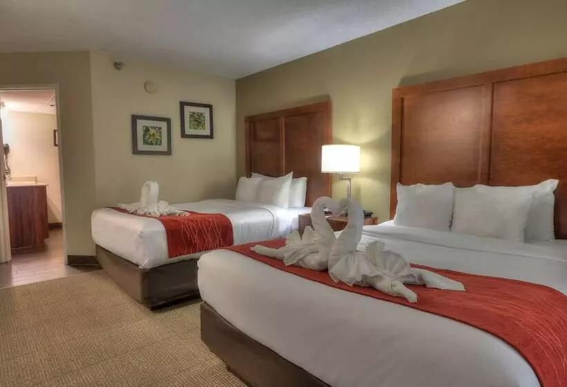 ２ダブルベッドのスタンダードルーム, Comfort Inn & Suites At Dollywood Lane