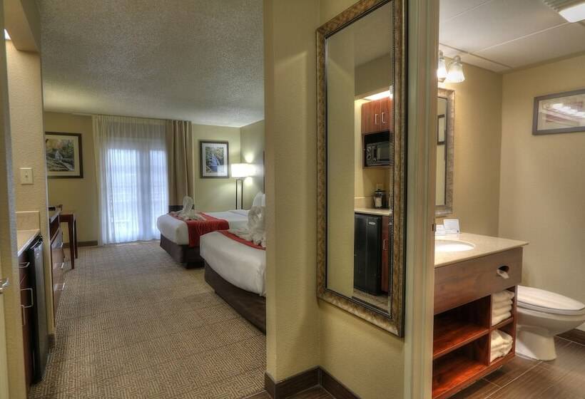اتاق استاندارد با 2 تخت دوبل, Comfort Inn & Suites At Dollywood Lane
