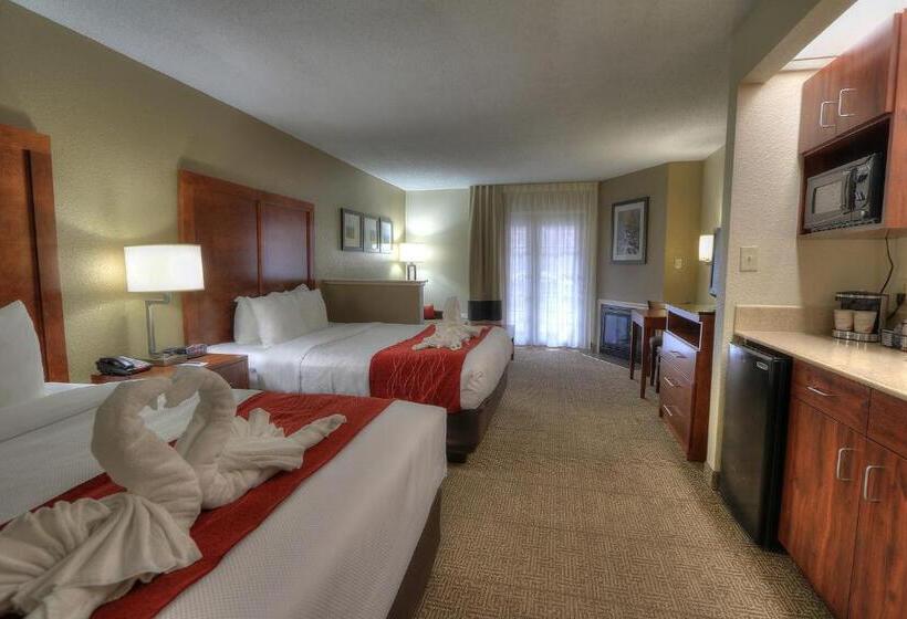 سوییت, Comfort Inn & Suites At Dollywood Lane
