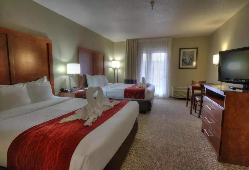 スタンダードルーム, Comfort Inn & Suites At Dollywood Lane