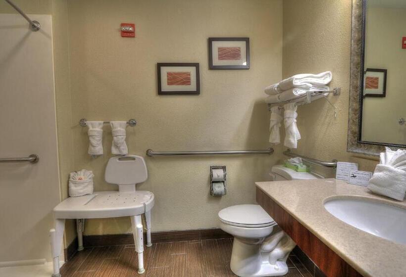 适合残疾人士使用的带超级大床的标准间, Comfort Inn & Suites At Dollywood Lane