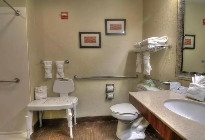 身障者適用キングサイズベッドルーム, Comfort Inn & Suites At Dollywood Lane