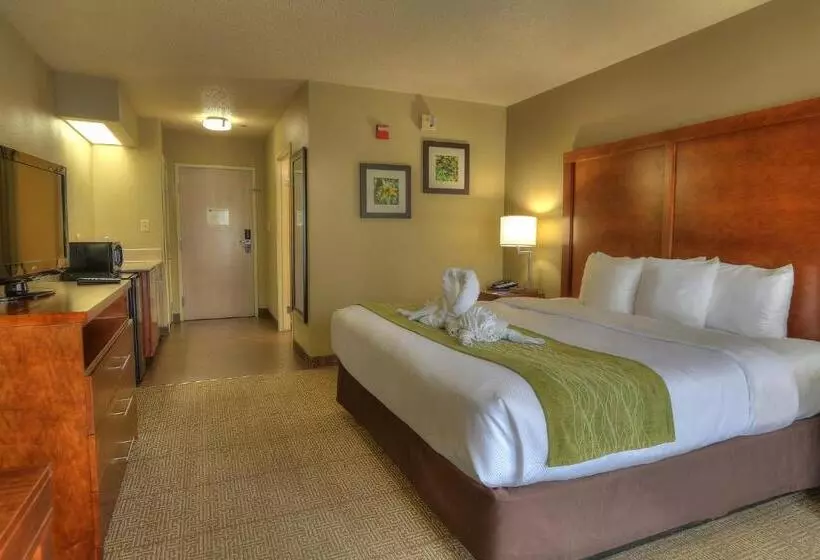 身障者適用キングサイズベッドルーム, Comfort Inn & Suites At Dollywood Lane