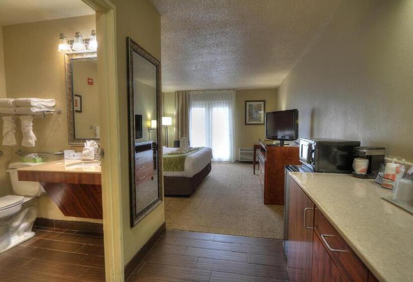 اتاق استاندارد با تخت بزرگ برای معلولان, Comfort Inn & Suites At Dollywood Lane